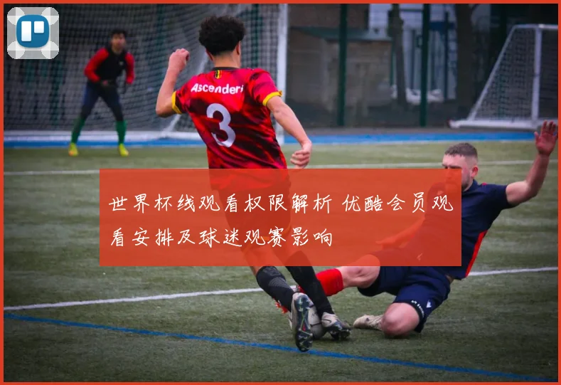世界杯线观看权限解析 优酷会员观看安排及球迷观赛影响
