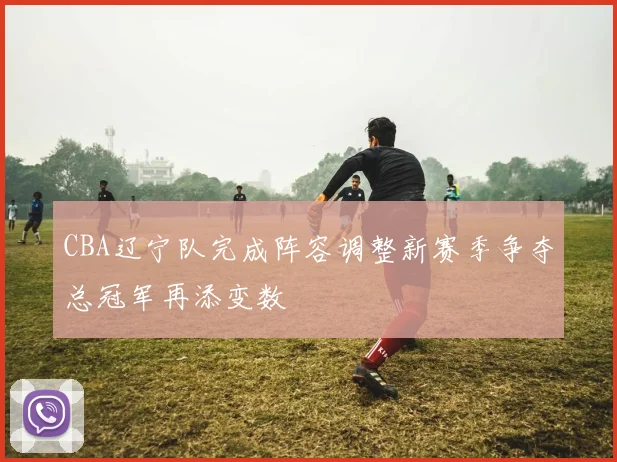 CBA辽宁队完成阵容调整新赛季争夺总冠军再添变数